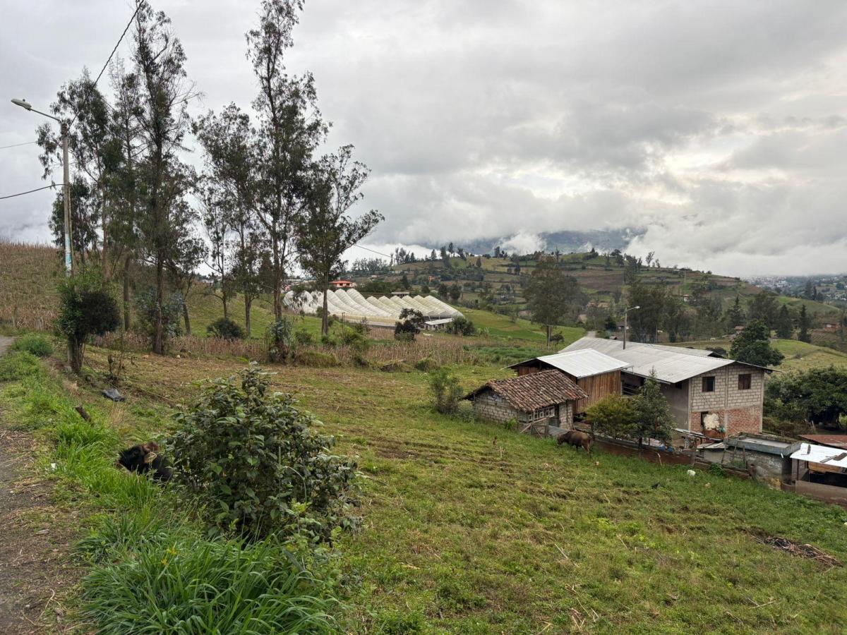 Terreno Agrícola con Casa San Vicente (Prov. Bolívar) — imagen 8