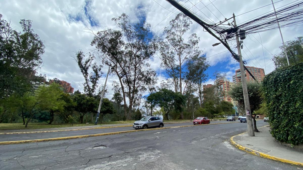 La Paz, Dpto. Amplio, Exclusivo 178 m. Mas * Suite Independiente.* $140.000 — imagen 6