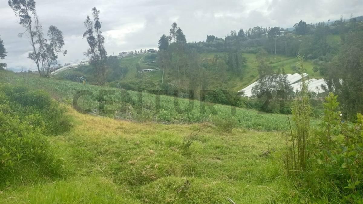 Terreno de Venta en Yaruqui, Chinangachi — imagen 8