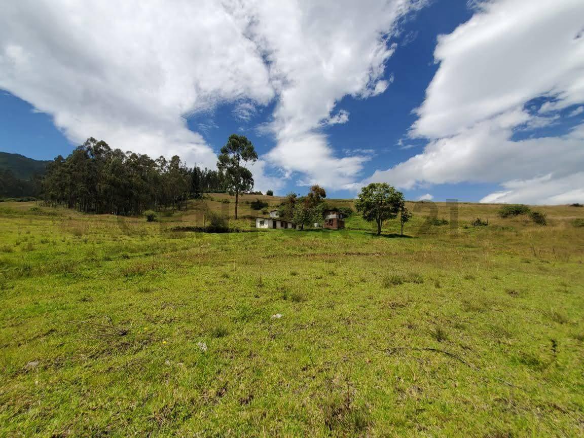 Terreno de Venta en Yaruqui, Chinangachi — imagen 7