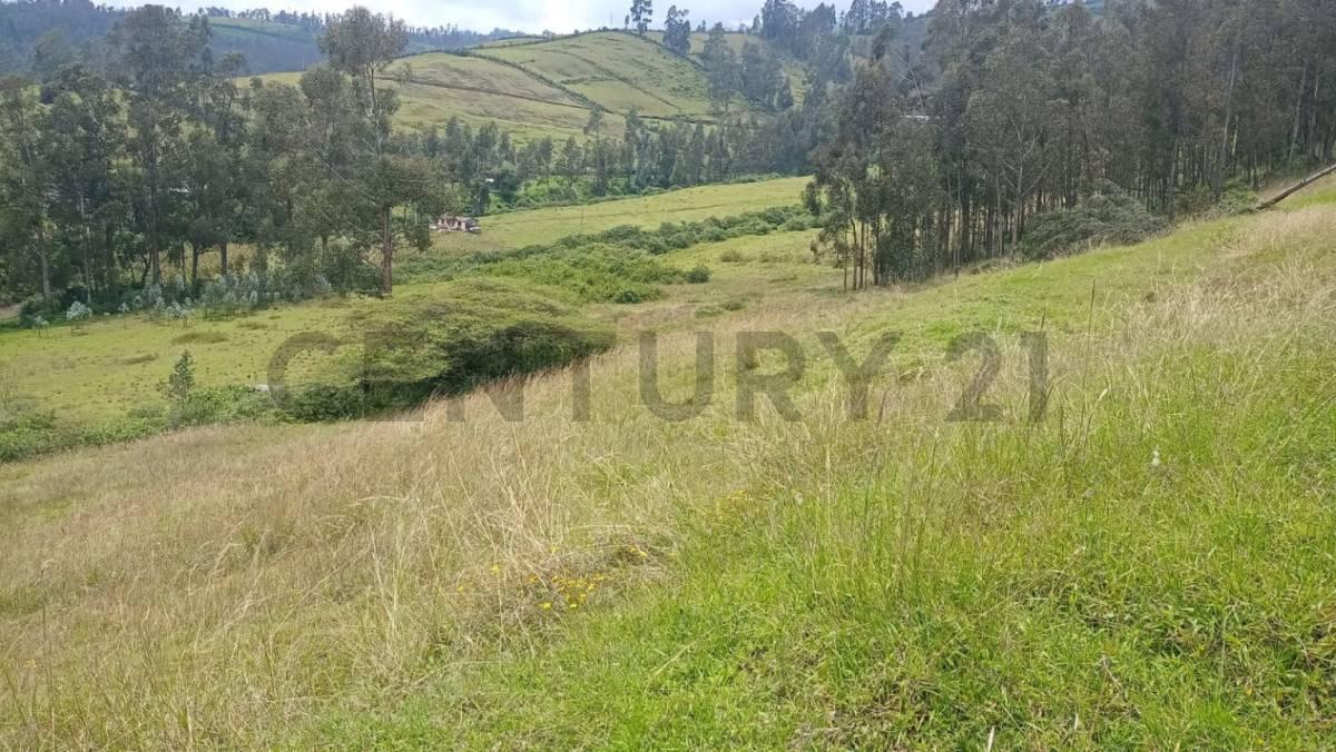 Terreno de Venta en Yaruqui, Chinangachi — imagen 6