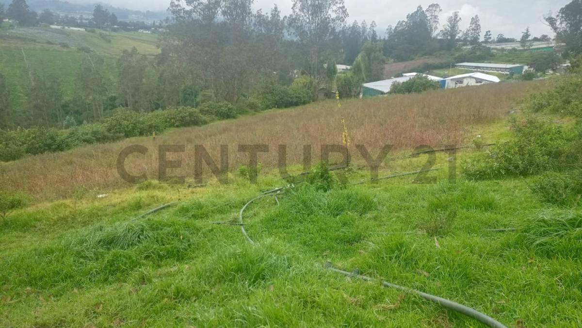 Terreno de Venta en Yaruqui, Chinangachi — imagen 5