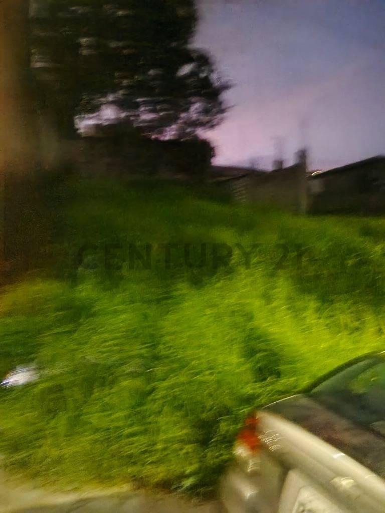 Terreno La Bota. Comite del Pueblo. Oportunidad — imagen 4