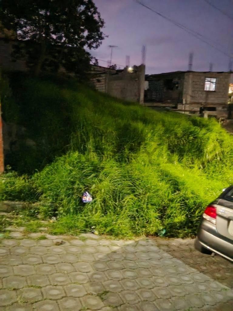 Terreno La Bota. Comite del Pueblo. Oportunidad — imagen 3