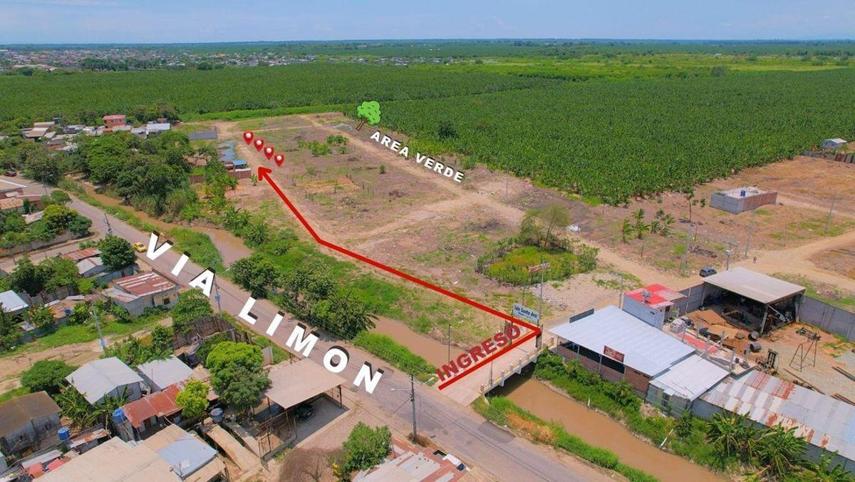 Terreno en Venta / Santa Ana, Via Limon en Machala, El Oro — imagen 6