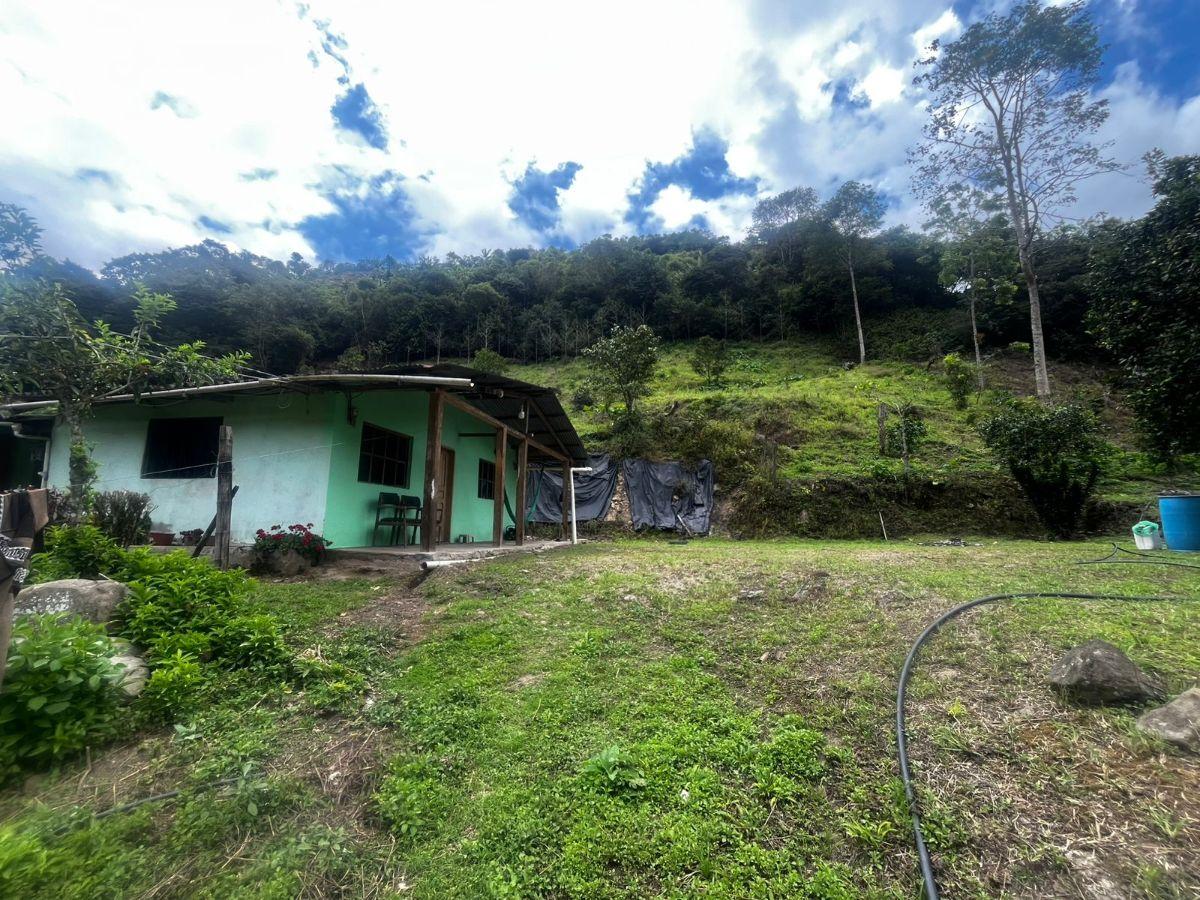 Cotacachi, Intag, Apuela. Vendo Terreno 7040 m², Casa, Rio, Imbabura — imagen 10
