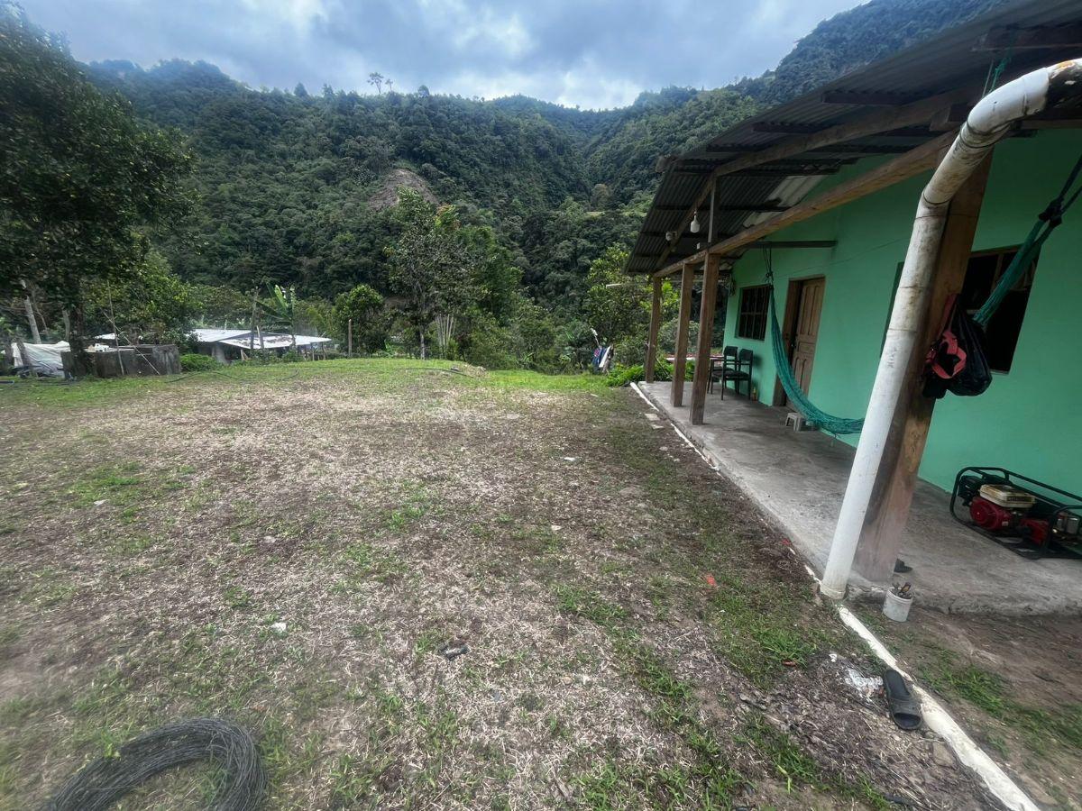 Cotacachi, Intag, Apuela. Vendo Terreno 7040 m², Casa, Rio, Imbabura — imagen 8