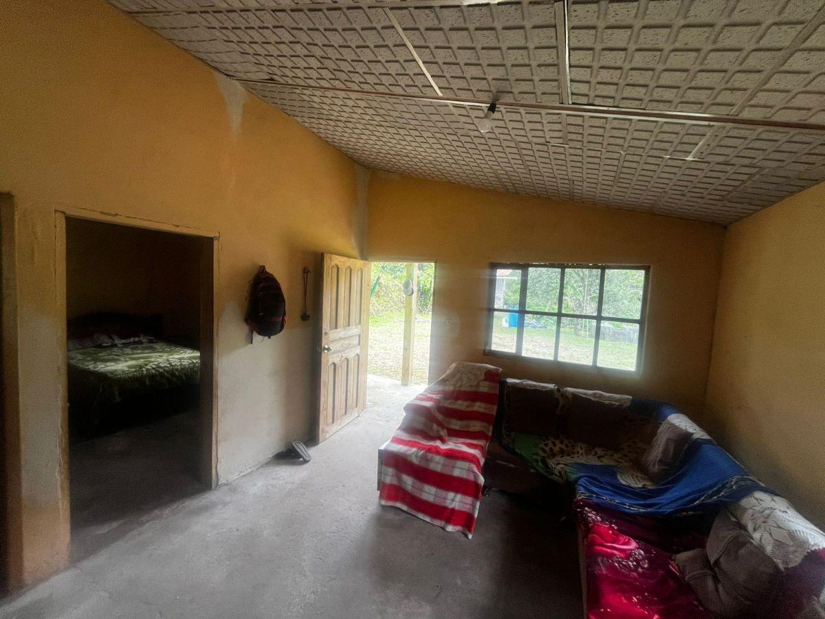 Cotacachi, Intag, Apuela. Vendo Terreno 7040 m², Casa, Rio, Imbabura — imagen 7