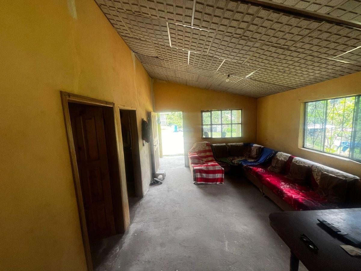 Cotacachi, Intag, Apuela. Vendo Terreno 7040 m², Casa, Rio, Imbabura — imagen 6