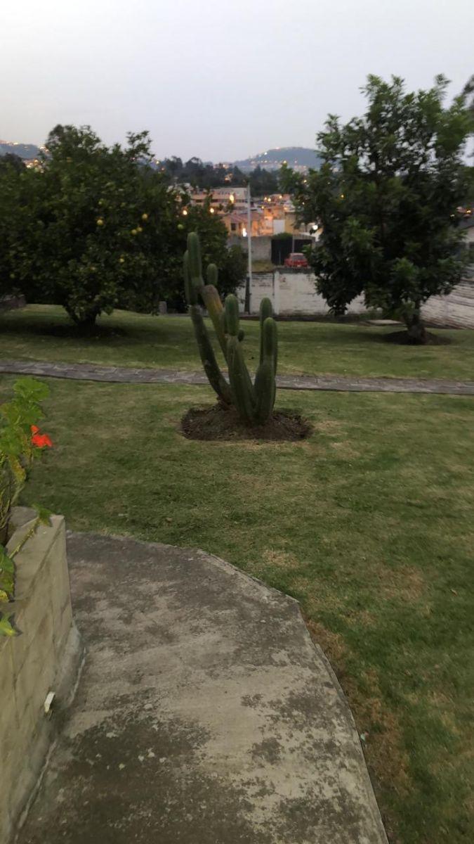Terreno y Casa Independiente Cerramiento y Cerca Electrica, Sector Conocoto, 1826 m² — imagen 6