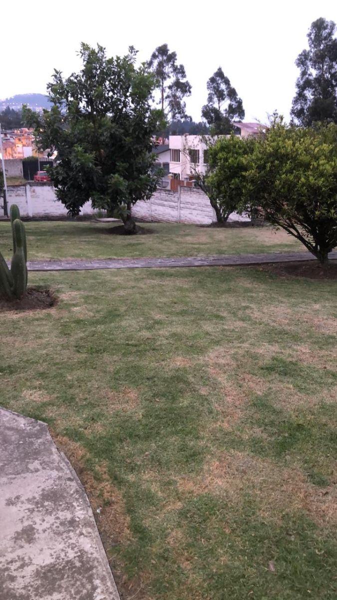 Terreno y Casa Independiente Cerramiento y Cerca Electrica, Sector Conocoto, 1826 m² — imagen 5
