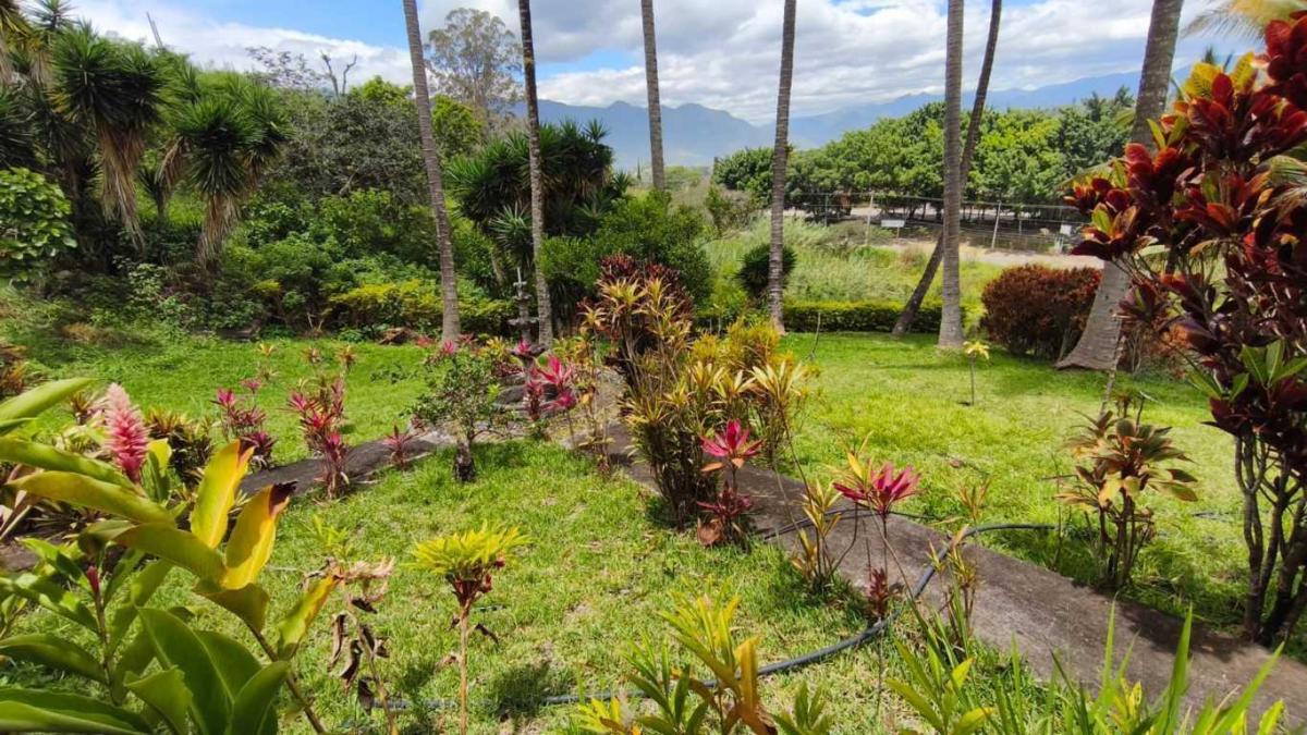 Terreno en Venta 11.832 m² Sector La Unión – Santa Isabel - Cuenca Ec. Azuay — imagen 6