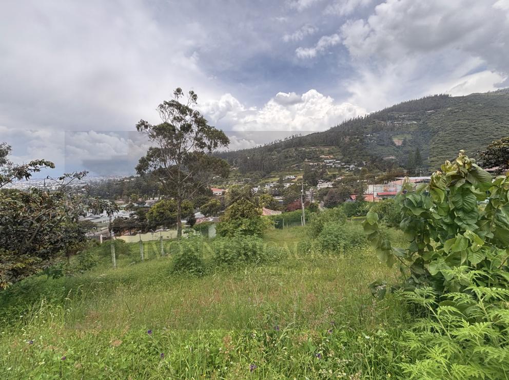 Vendo Terreno de 1.388 m² Obre La Vía Intervalles en Tumbaco — imagen 3