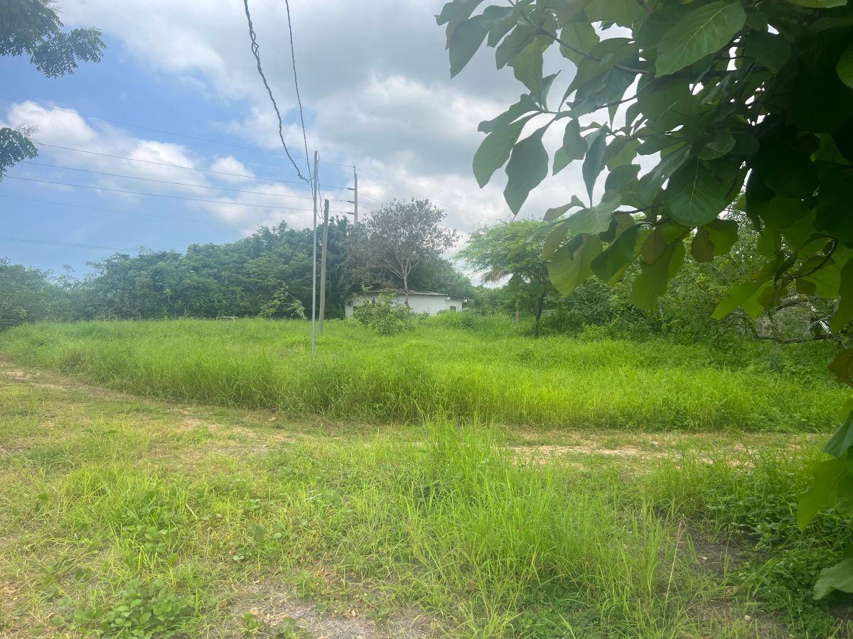 Venta 1 Has en La Avda, Miguel Yunez, Vía a Samborondón Km 15, Cerca a Dinatek, Cerca de Numa, Etc. Guayas — imagen 4