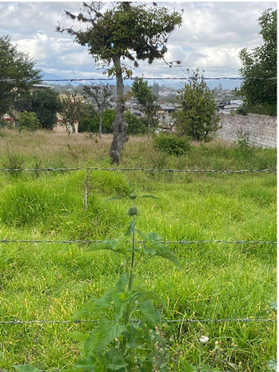 Tumbaco Terreno en Venta de Oportunidad — imagen 5
