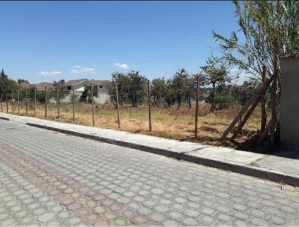 Tumbaco Terreno en Venta de Oportunidad — imagen 3