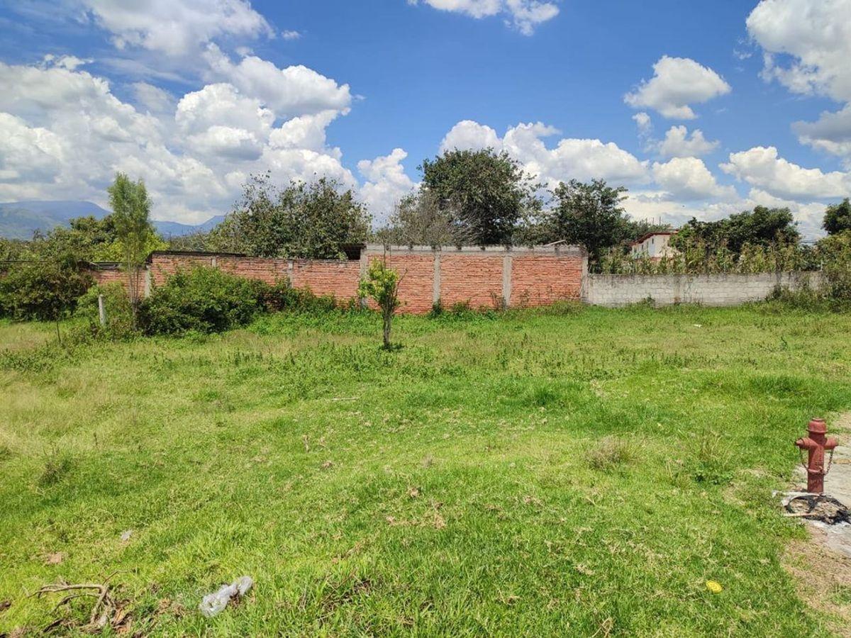 Vendo Terreno Idependiente, Sector Tumbaco — imagen 4
