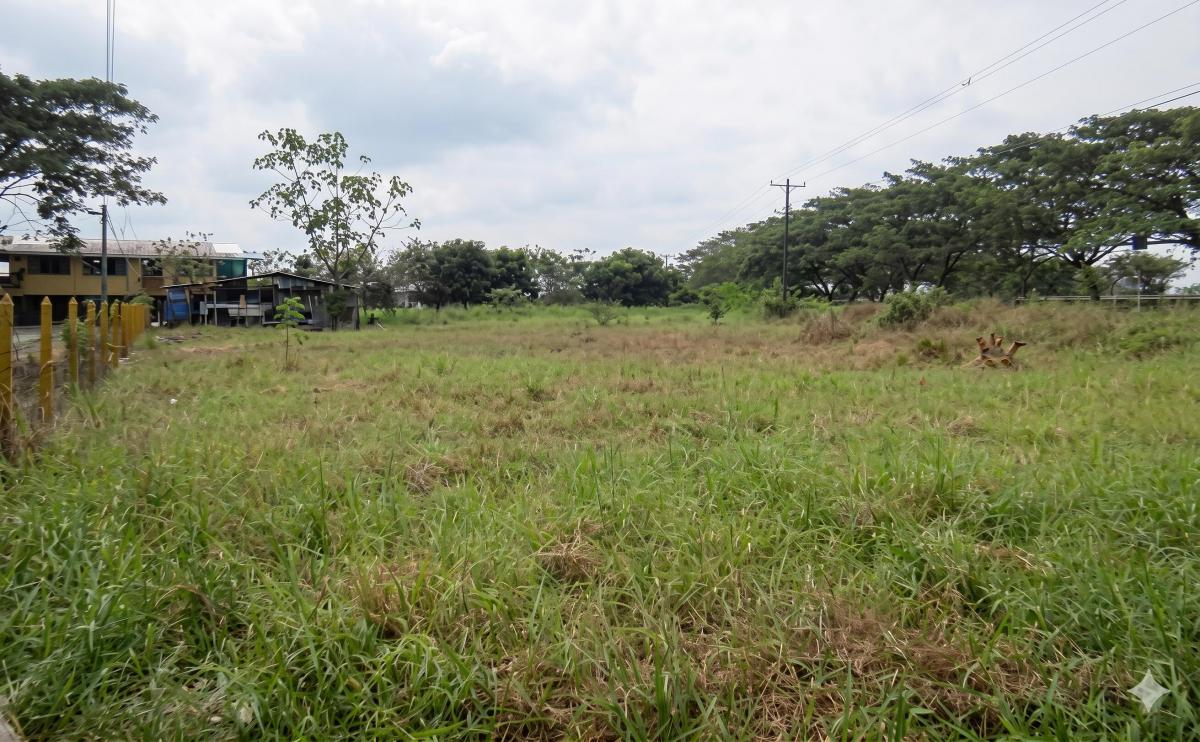 Terreno en Venta de 5,149 m² en Via Daule Km 24, Salitre, Guayas — imagen 6