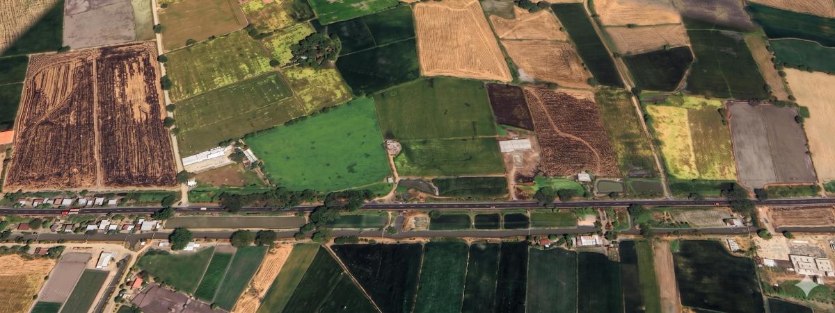 Terreno en Venta de 5,149 m² en Via Daule Km 24, Salitre, Guayas — imagen 4