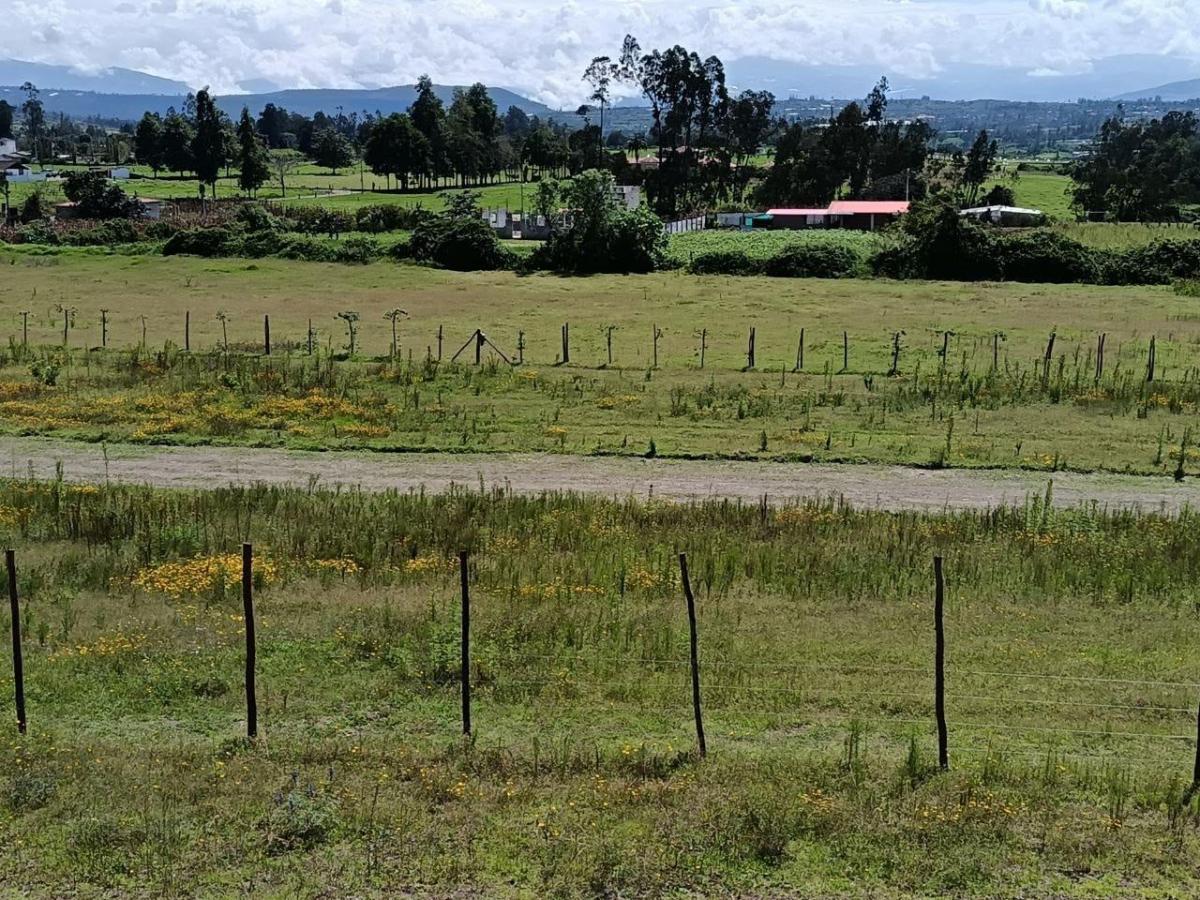 Venta Terrenos en Cotacachi – Ideal Para Inversión o Retiro, a Minutos del Parque Principal / Epaqt, Imbabura — imagen 8