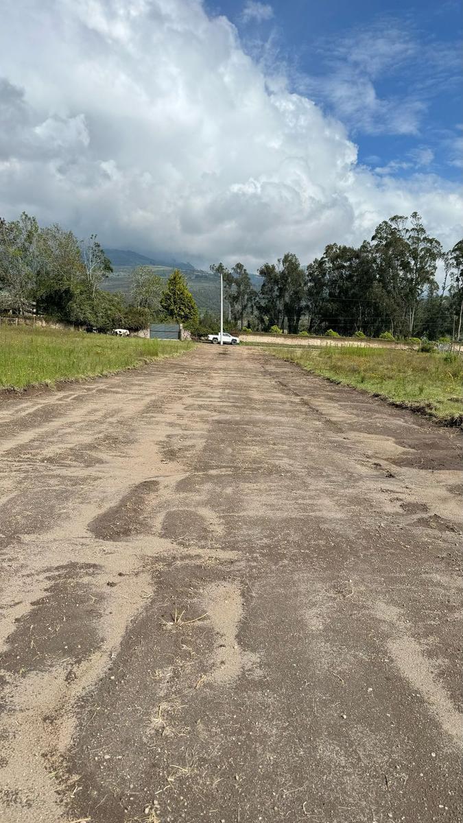 Venta Terrenos en Cotacachi – Ideal Para Inversión o Retiro, a Minutos del Parque Principal / Epaqt, Imbabura — imagen 5