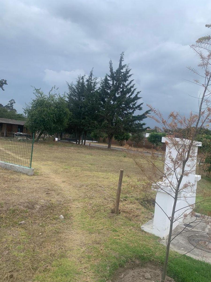 Venta Terreno 693 m² Tumbaco Dentro de Conjunto — imagen 8