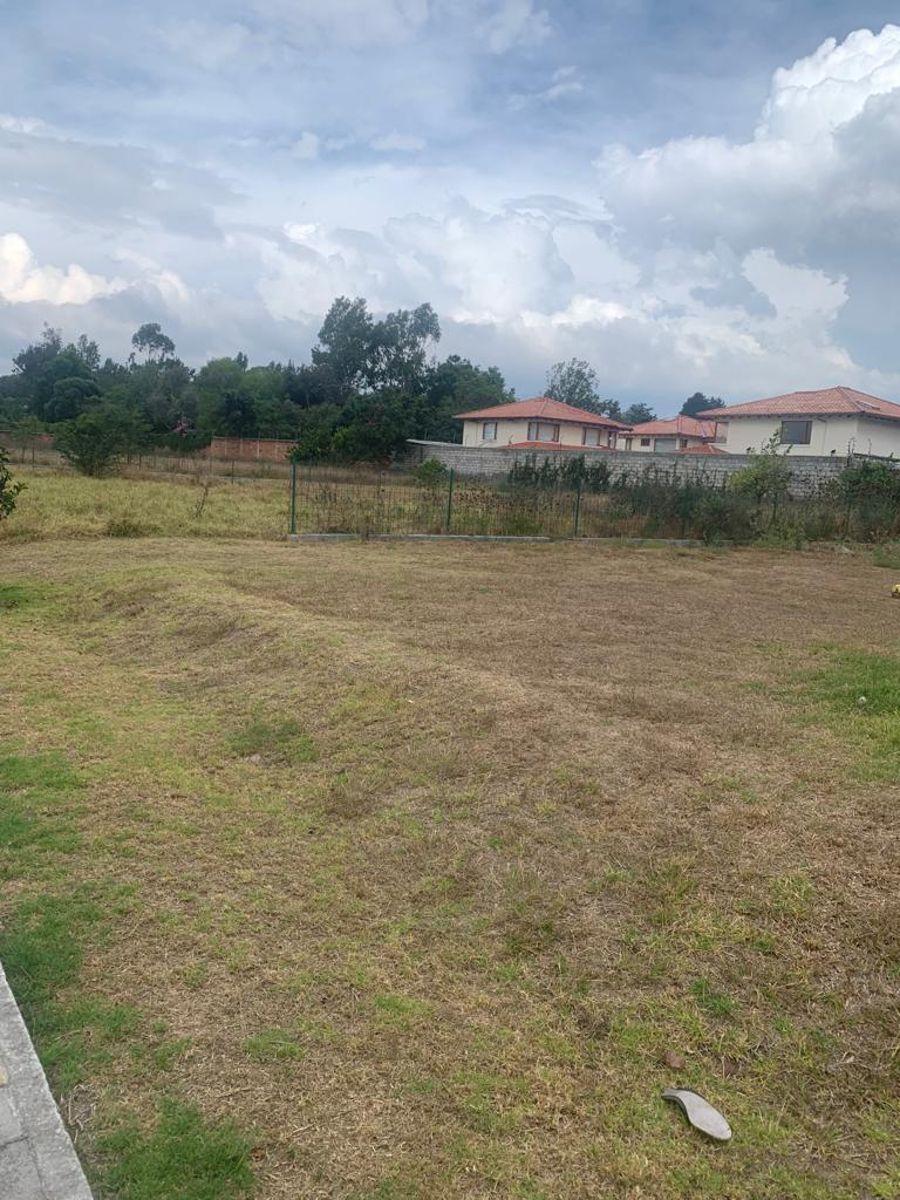 Venta Terreno 693 m² Tumbaco Dentro de Conjunto — imagen 6