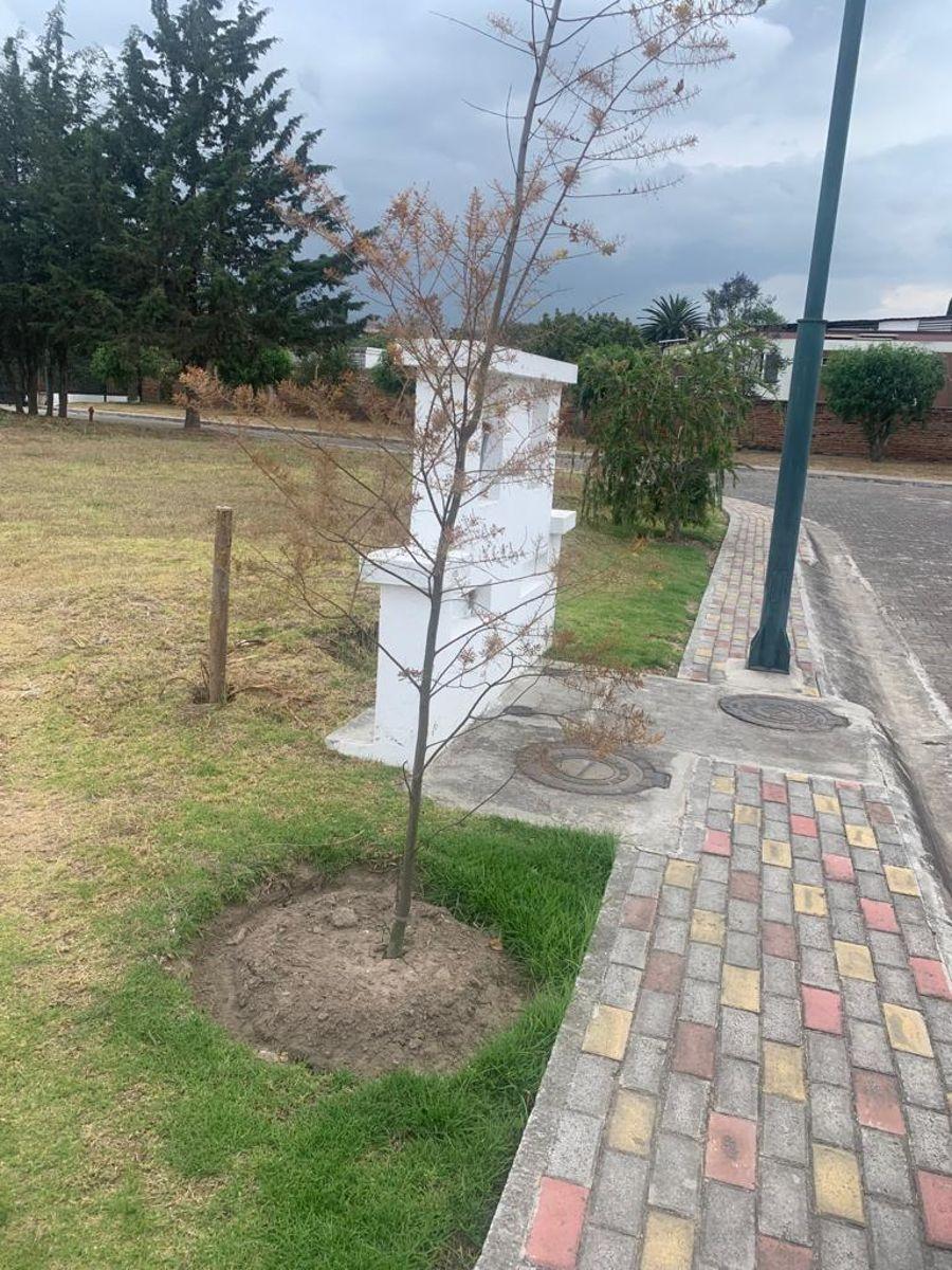 Venta Terreno 693 m² Tumbaco Dentro de Conjunto — imagen 5