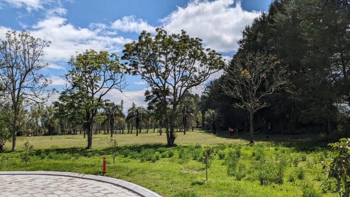 Terreno de Venta Checa Dentro de Hermosa Urbanizacion. ultimo Lote — imagen 9