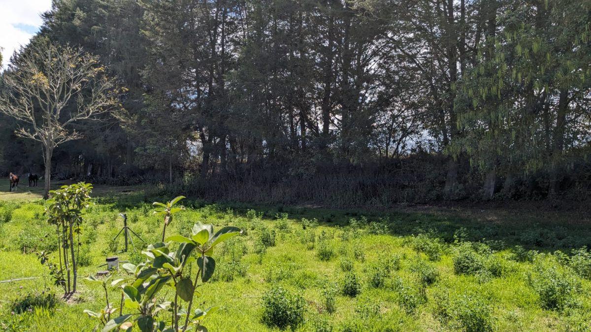 Terreno de Venta Checa Dentro de Hermosa Urbanizacion. ultimo Lote — imagen 8