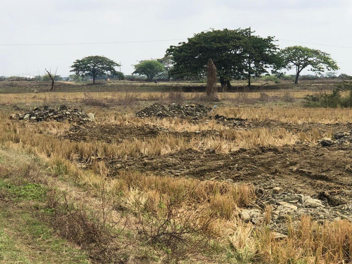 Vendo Terreno Lotizacion Buijo 1337 m² Samborondon, Guayas — imagen 3