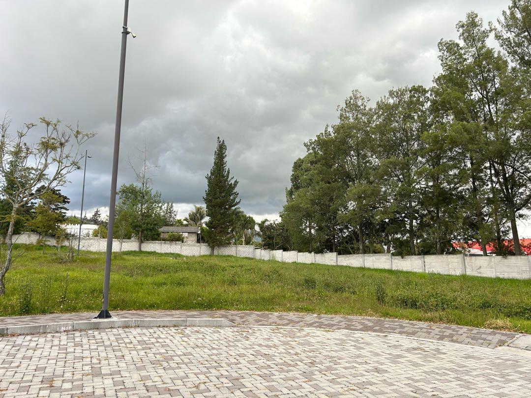 Venta Terrenos Desde 425 m² a 896 m² Puembo — imagen 10