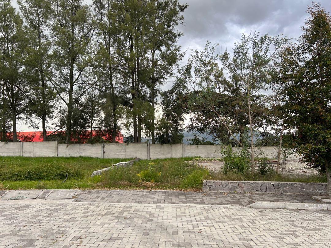 Venta Terrenos Desde 425 m² a 896 m² Puembo — imagen 9