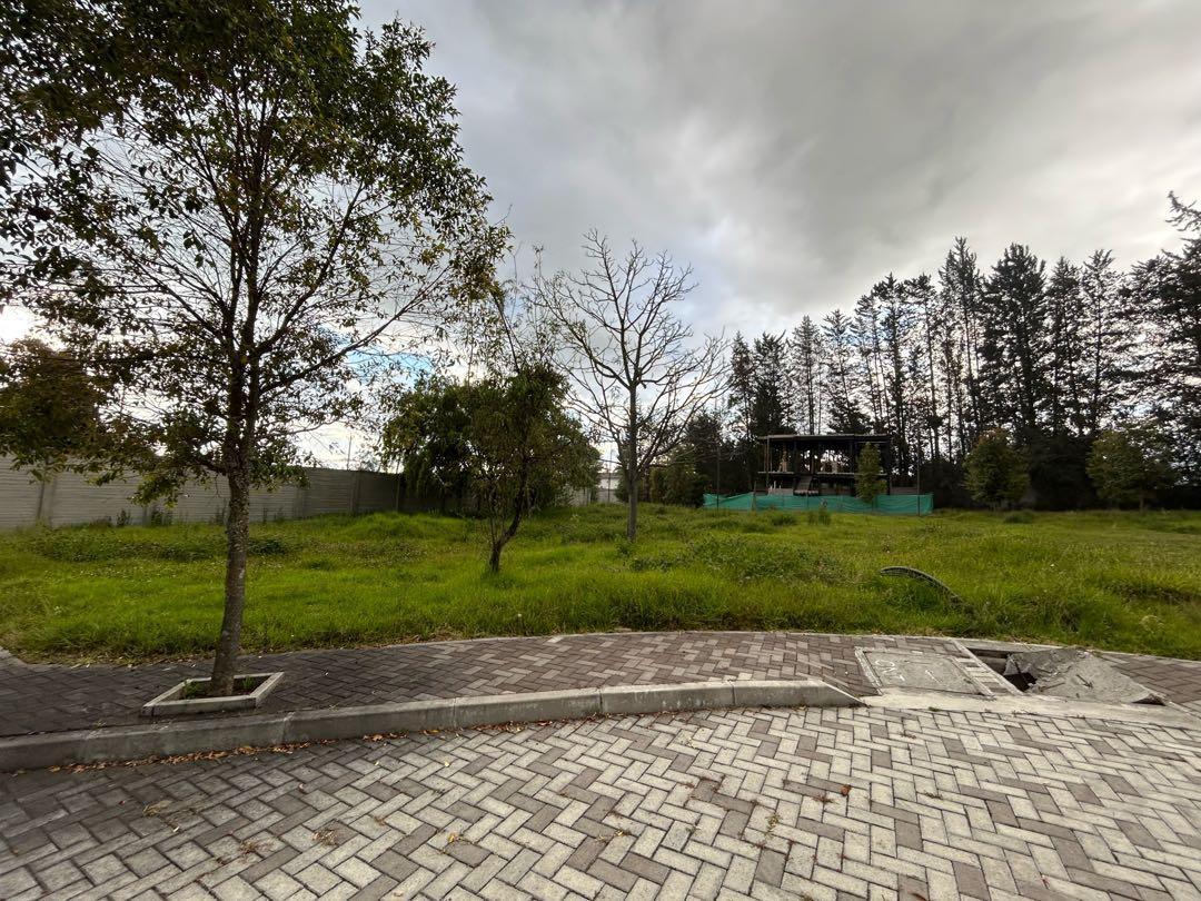 Venta Terrenos Desde 425 m² a 896 m² Puembo — imagen 3