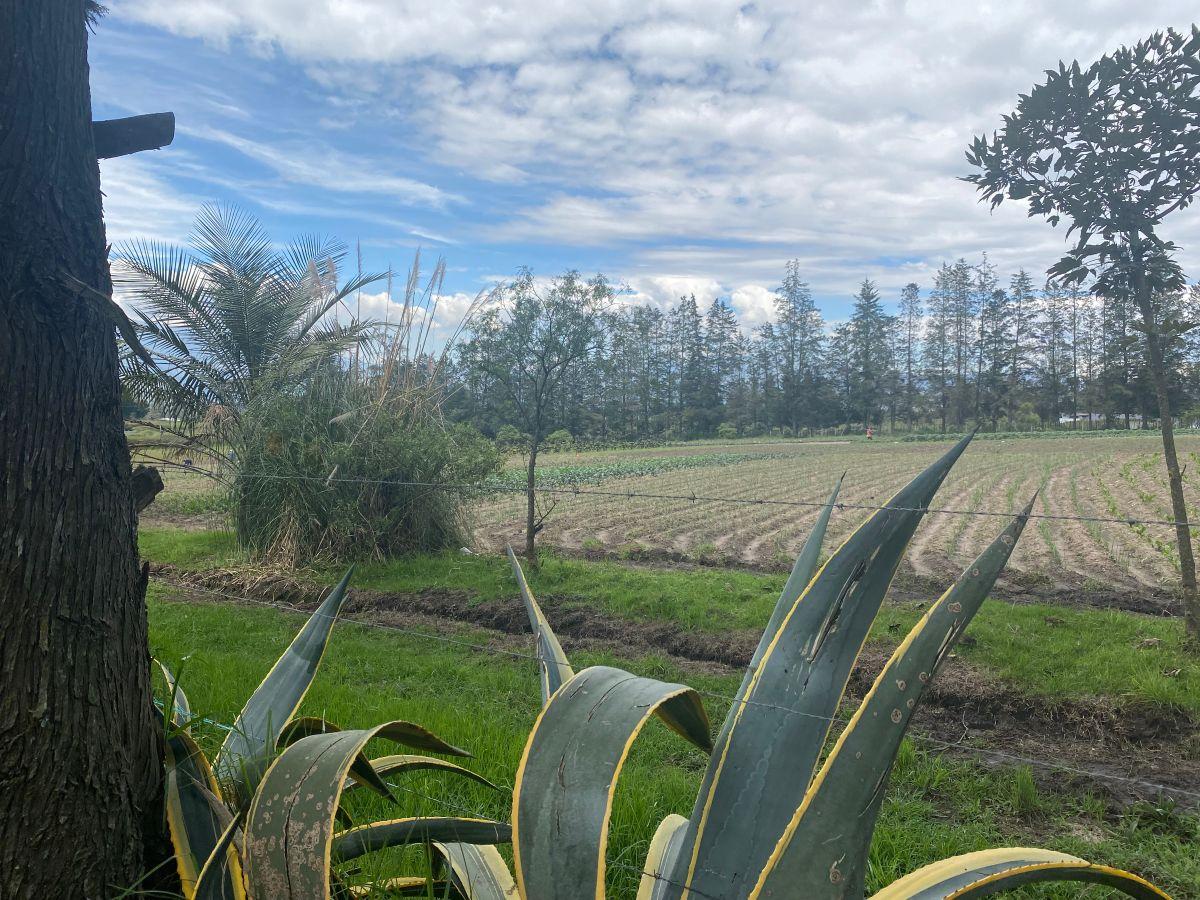 Sector Aeropuerto Tababela Terreno de Venta 37.450 m² — imagen 10