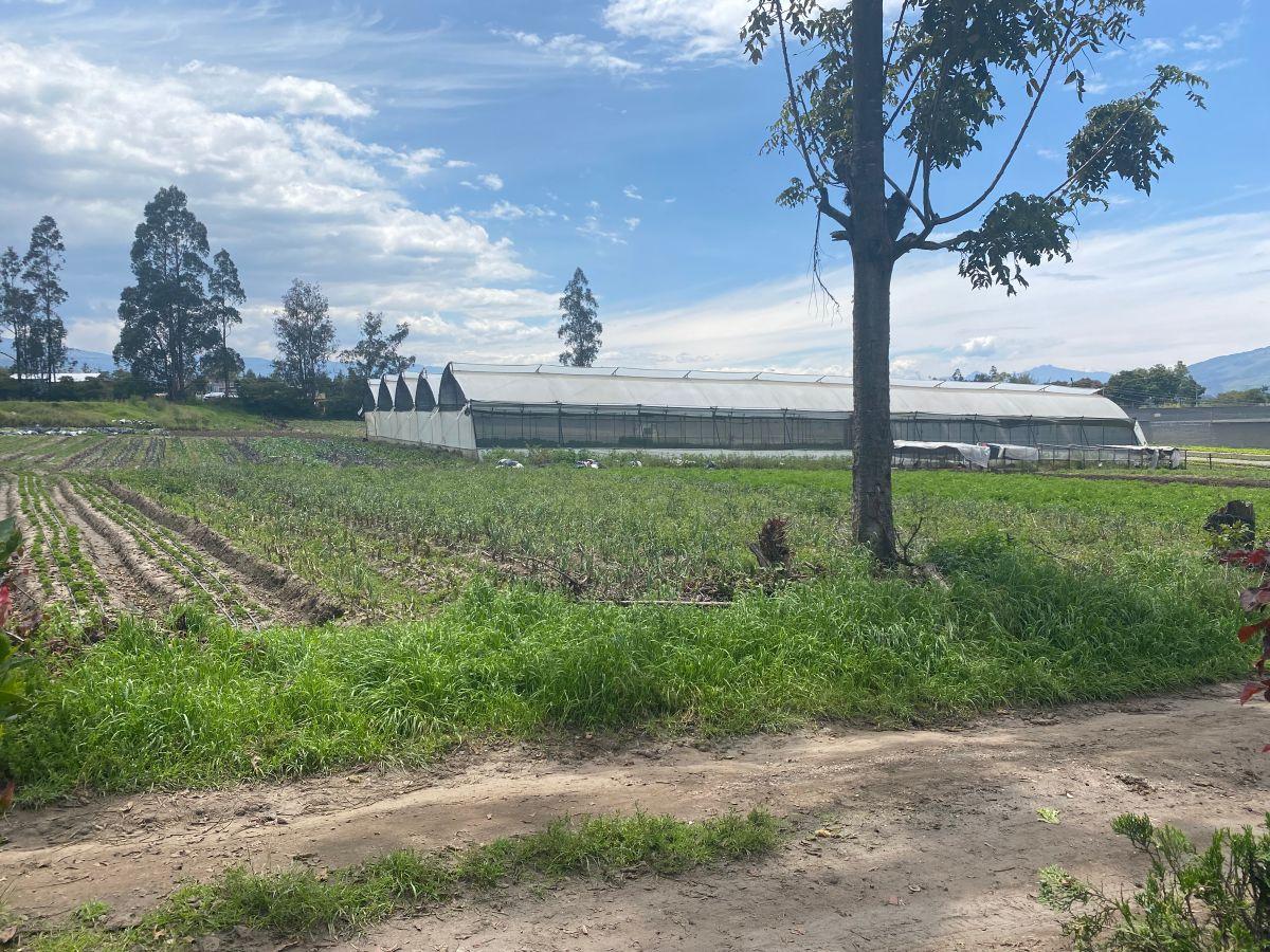 Sector Aeropuerto Tababela Terreno de Venta 37.450 m² — imagen 9