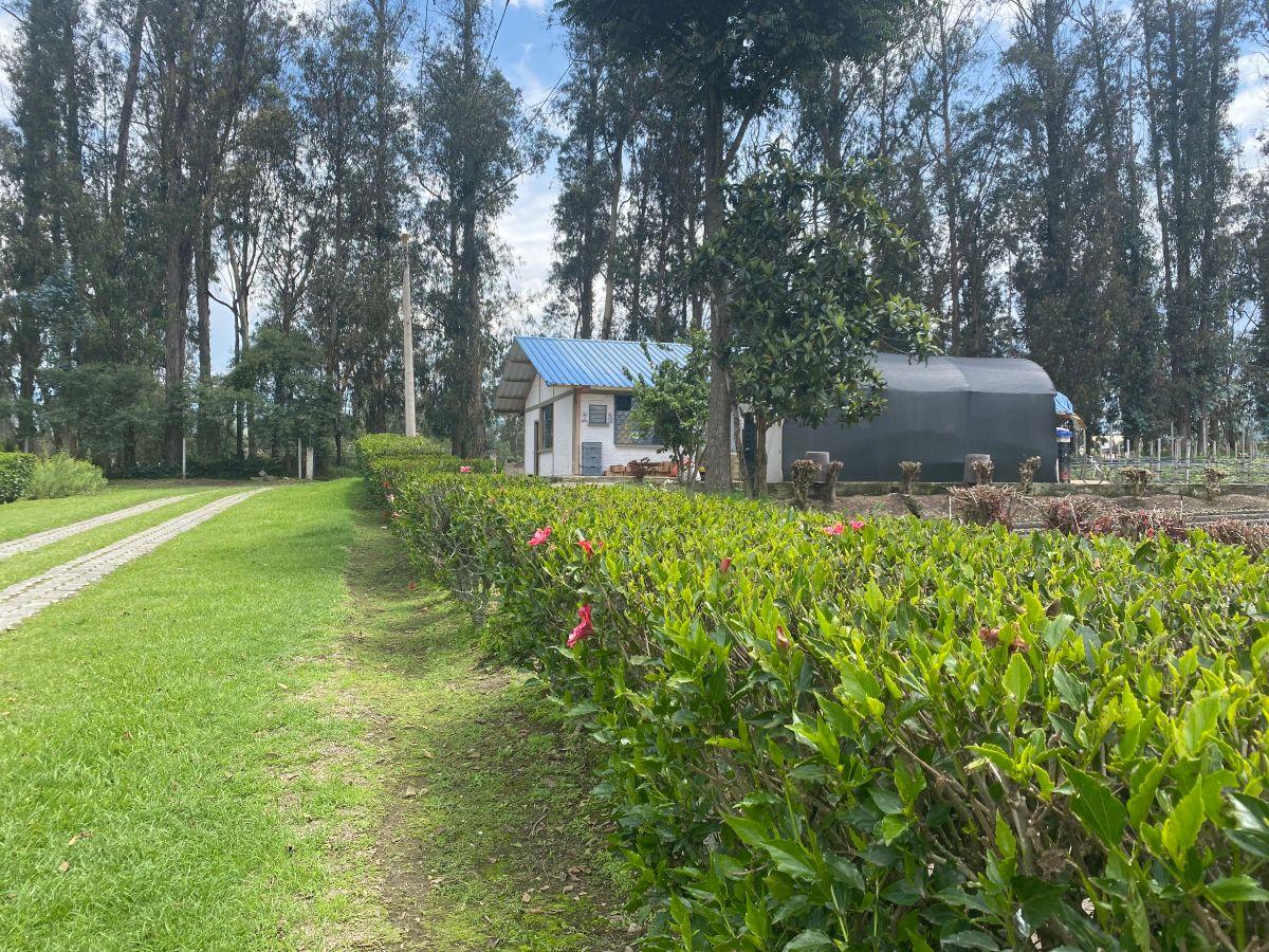 Sector Aeropuerto Tababela Terreno de Venta 37.450 m² — imagen 7