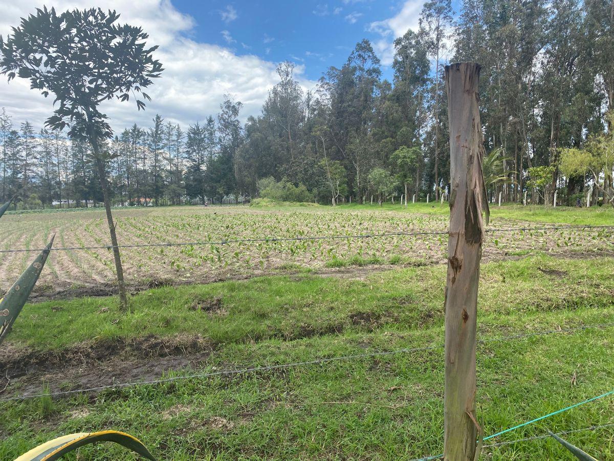 Sector Aeropuerto Tababela Terreno de Venta 37.450 m² — imagen 4