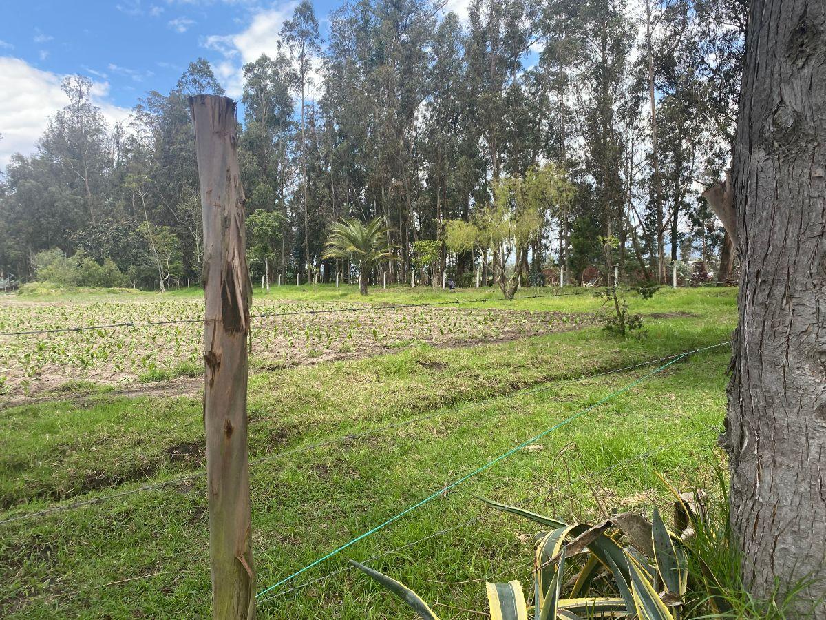 Sector Aeropuerto Tababela Terreno de Venta 37.450 m² — imagen 3