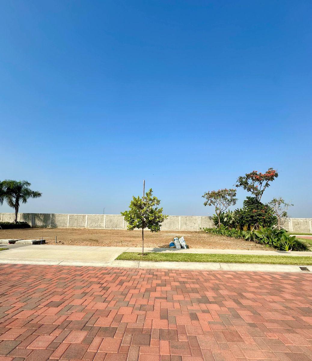 7038. Urb. Punta Barranca 100 - Samborondon, Vendo Terreno 341 m², $175.000. Guayas — imagen 8