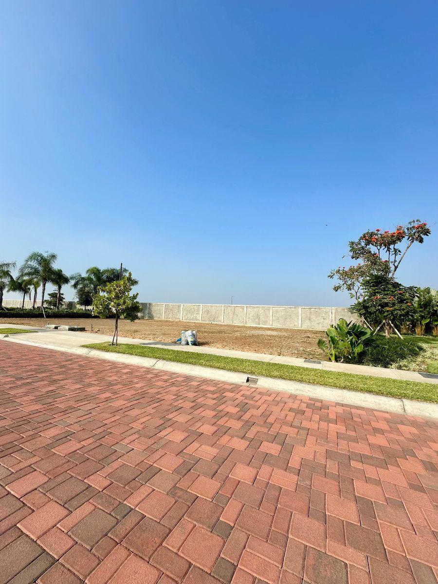 7038. Urb. Punta Barranca 100 - Samborondon, Vendo Terreno 341 m², $175.000. Guayas — imagen 7