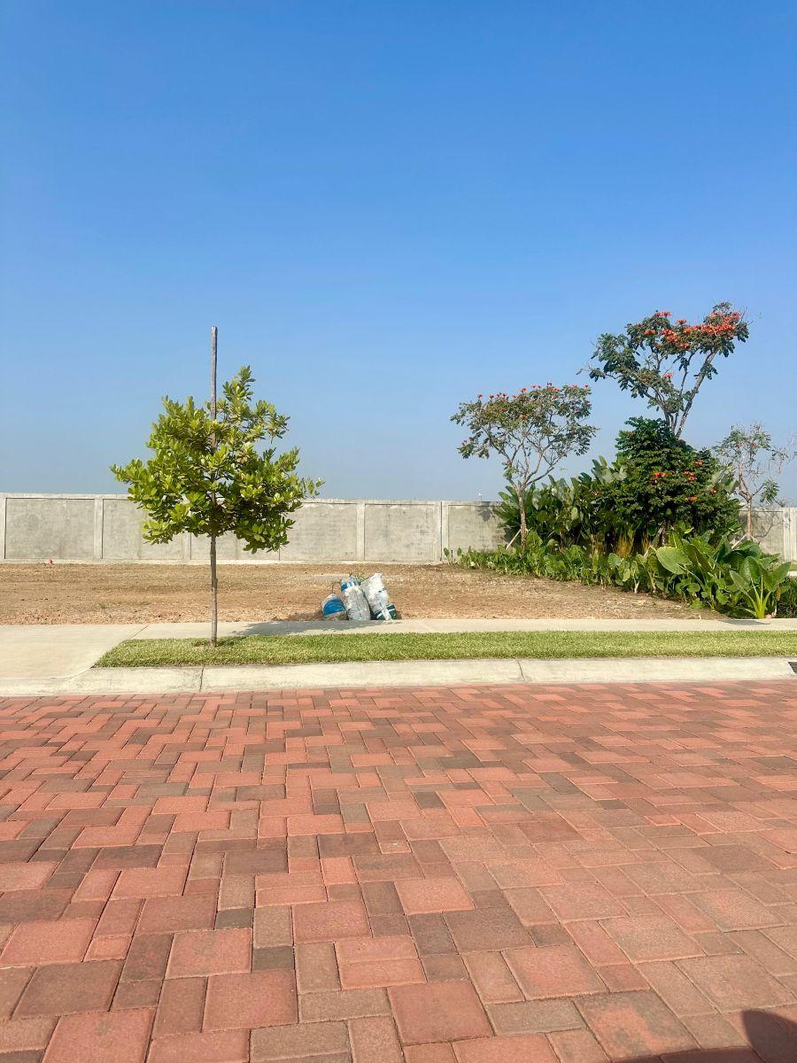 7038. Urb. Punta Barranca 100 - Samborondon, Vendo Terreno 341 m², $175.000. Guayas — imagen 6