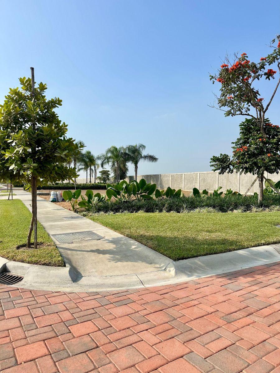 7038. Urb. Punta Barranca 100 - Samborondon, Vendo Terreno 341 m², $175.000. Guayas — imagen 4