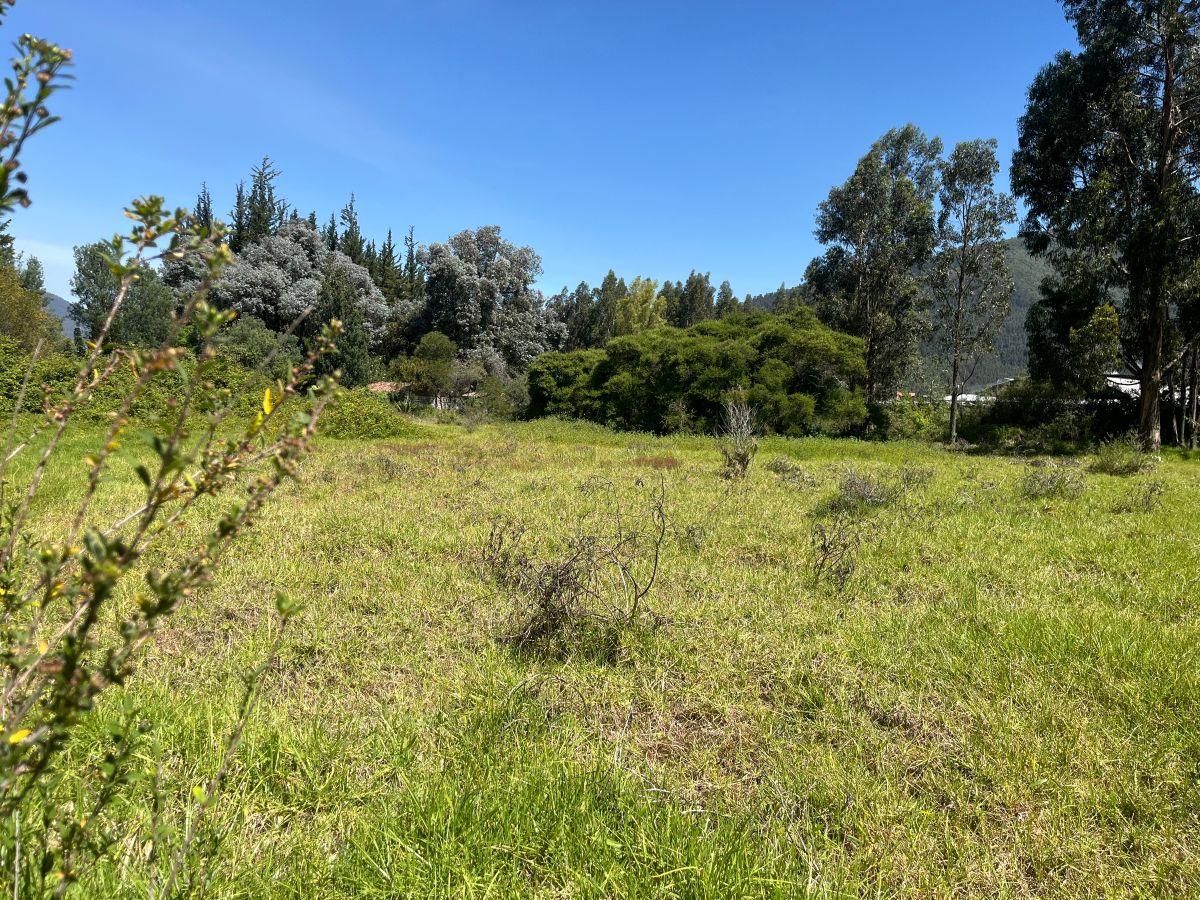 Los Chillos Terreno de Venta 9.089 m² — imagen 10