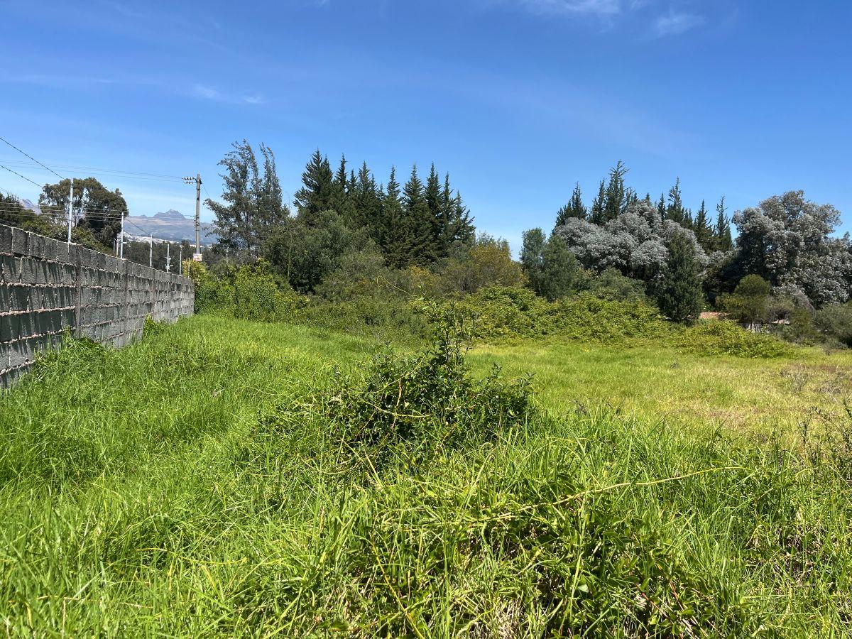 Los Chillos Terreno de Venta 9.089 m² — imagen 8