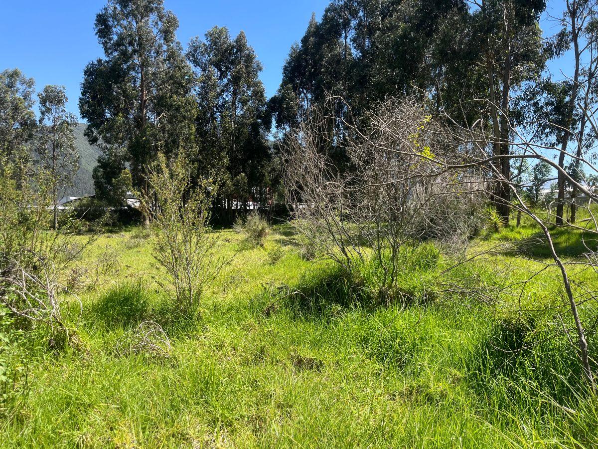 Los Chillos Terreno de Venta 9.089 m² — imagen 7