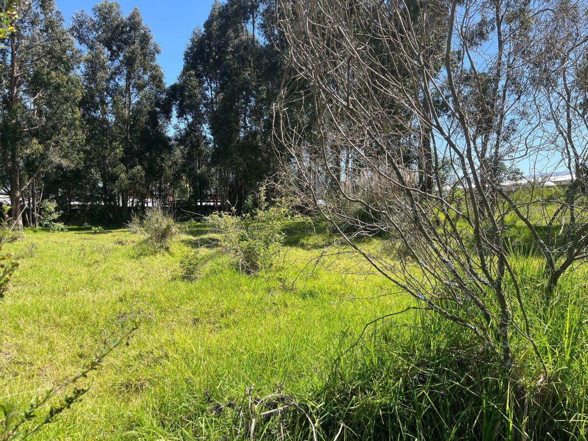 Los Chillos Terreno de Venta 9.089 m² — imagen 5