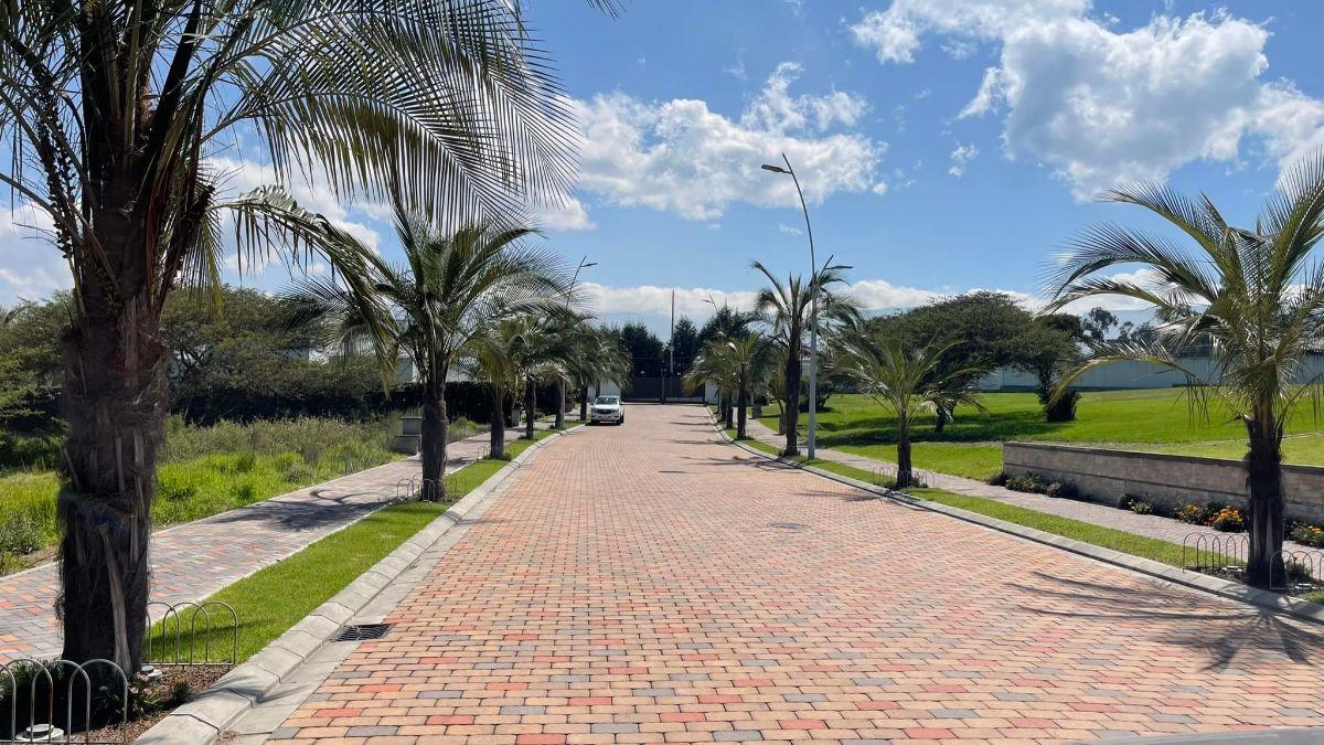 Lotes de Venta en Exclusiva Urbanización de Tumbaco La Cerámica — imagen 9