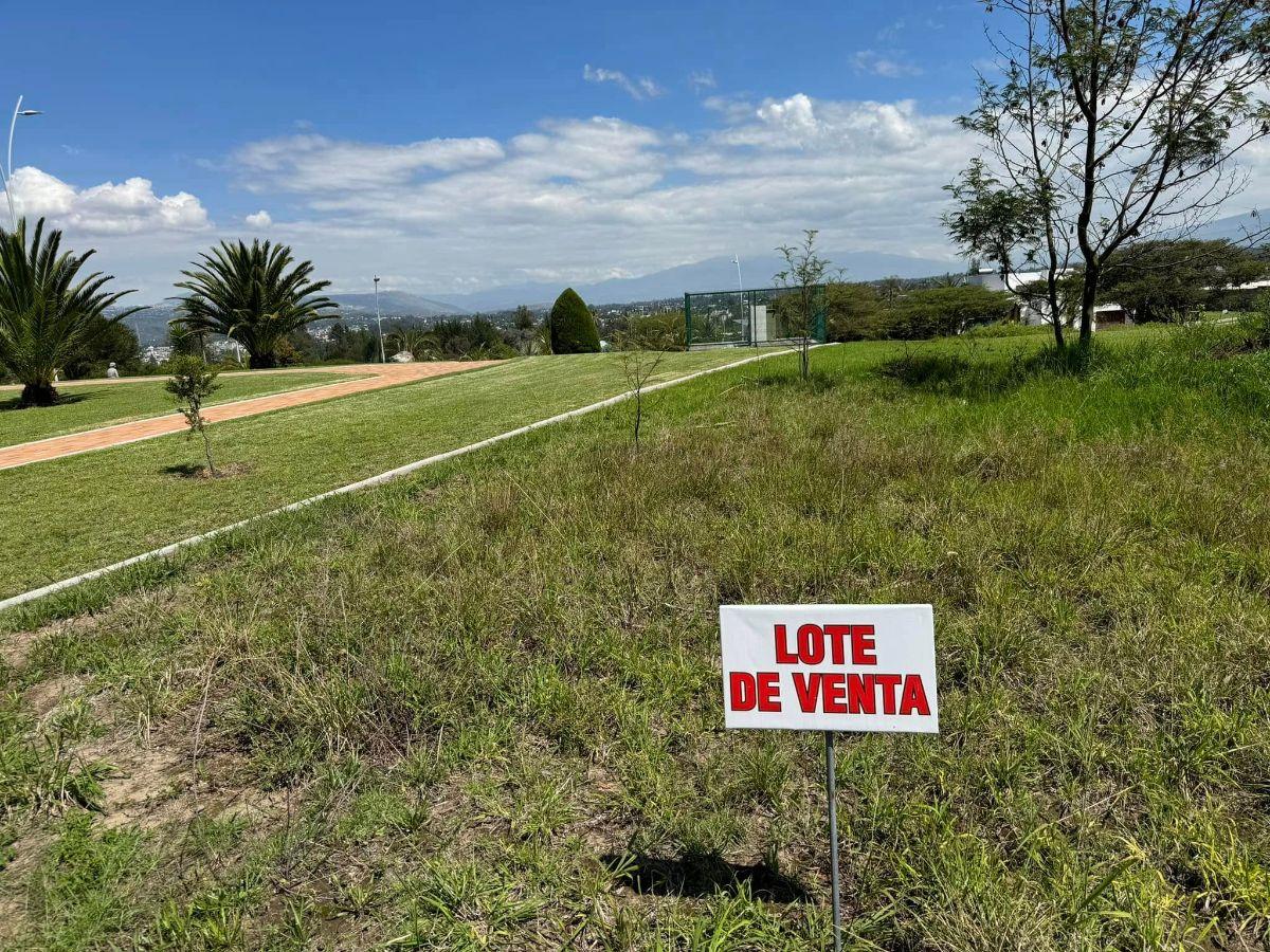 Lotes de Venta en Exclusiva Urbanización de Tumbaco La Cerámica — imagen 7