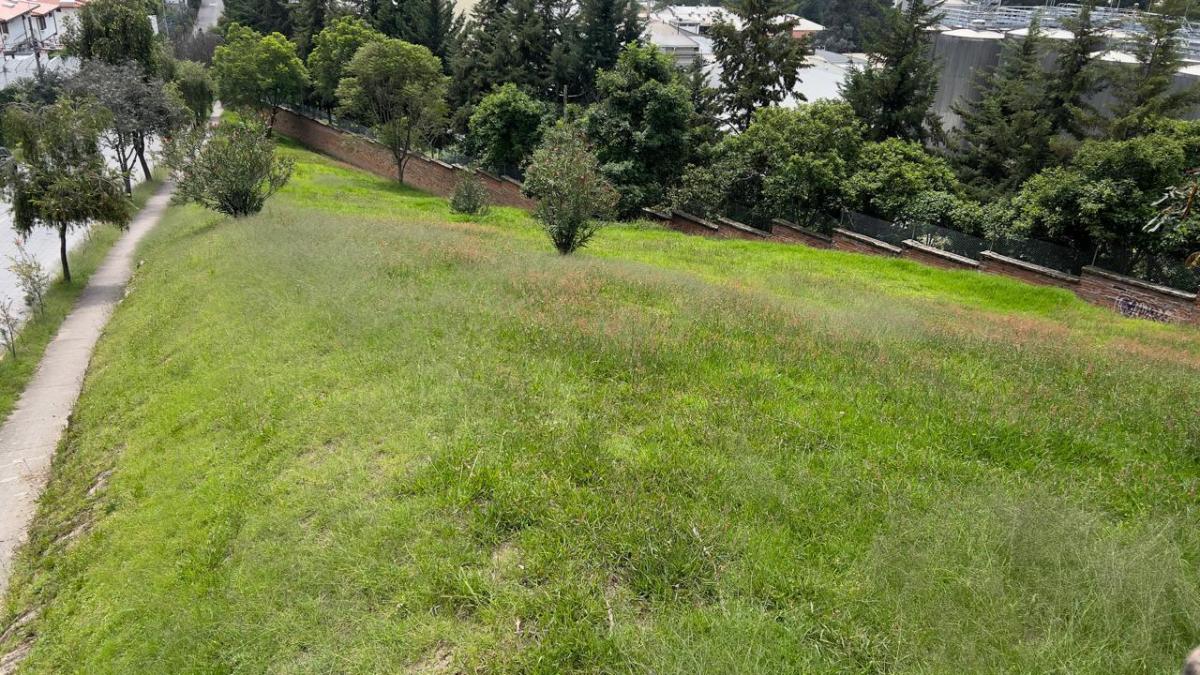 Terreno de Venta en Cumbayá, Sector La Cervecería — imagen 5